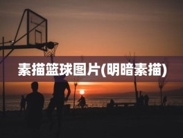 素描篮球图片(明暗素描)