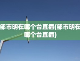 邹市明在哪个台直播(邹市明在哪个台直播)