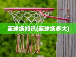 篮球场知识(篮球场多大)