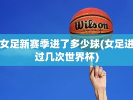 女足新赛季进了多少球(女足进过几次世界杯)
