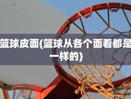 篮球皮面(篮球从各个面看都是一样的)