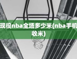 现役nba全场多少米(nba手机收米)