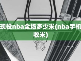 现役nba全场多少米(nba手机收米)