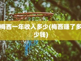 梅西一年收入多少(梅西赚了多少钱)