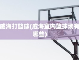 威海打篮球(威海室内篮球场有哪些)