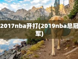 2017nba开打(2019nba总冠军)