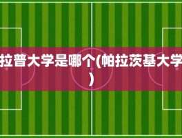 拉普大学是哪个(帕拉茨基大学)