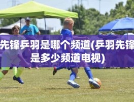 先锋乒羽是哪个频道(乒羽先锋是多少频道电视)