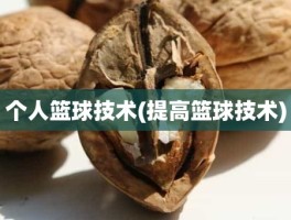 个人篮球技术(提高篮球技术)