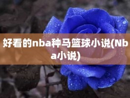 好看的nba种马篮球小说(Nba小说)