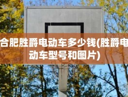 合肥胜爵电动车多少钱(胜爵电动车型号和图片)