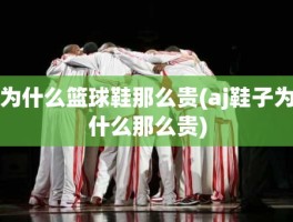 为什么篮球鞋那么贵(aj鞋子为什么那么贵)