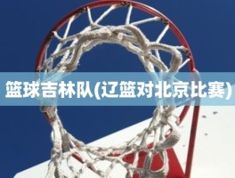篮球吉林队(辽篮对北京比赛)