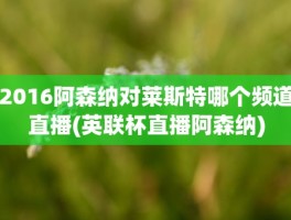 2016阿森纳对莱斯特哪个频道直播(英联杯直播阿森纳)