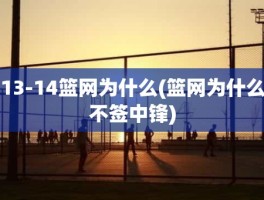 13-14篮网为什么(篮网为什么不签中锋)