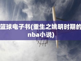 篮球电子书(重生之姚明时期的nba小说)