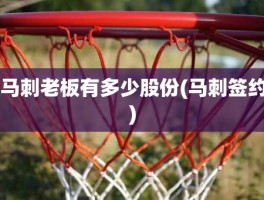 马刺老板有多少股份(马刺签约)