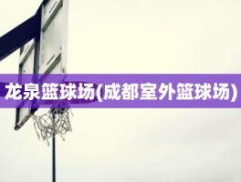龙泉篮球场(成都室外篮球场)