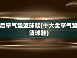 后掌气垫篮球鞋(十大全掌气垫篮球鞋)