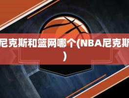 尼克斯和篮网哪个(NBA尼克斯)