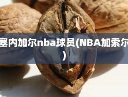 塞内加尔nba球员(NBA加索尔)