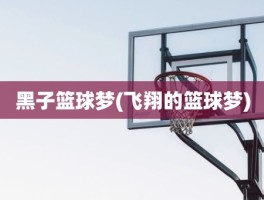 黑子篮球梦(飞翔的篮球梦)