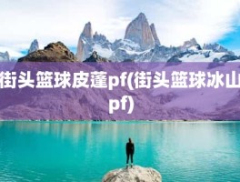 街头篮球皮蓬pf(街头篮球冰山pf)