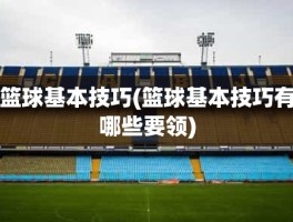 篮球基本技巧(篮球基本技巧有哪些要领)