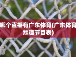 哪个直播有广东体育(广东体育频道节目表)