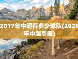 2017年中超有多少球队(2020年中超引援)
