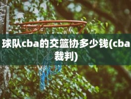 球队cba的交篮协多少钱(cba裁判)