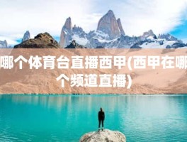 哪个体育台直播西甲(西甲在哪个频道直播)