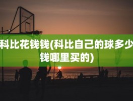 科比花钱钱(科比自己的球多少钱哪里买的)