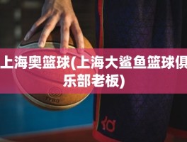 上海奥篮球(上海大鲨鱼篮球俱乐部老板)