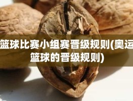 篮球比赛小组赛晋级规则(奥运篮球的晋级规则)