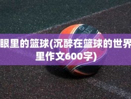眼里的篮球(沉醉在篮球的世界里作文600字)