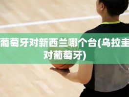 葡萄牙对新西兰哪个台(乌拉圭对葡萄牙)