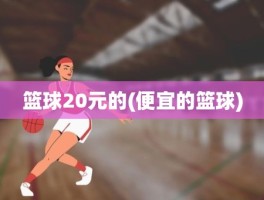 篮球20元的(便宜的篮球)