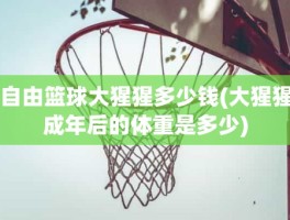 自由篮球大猩猩多少钱(大猩猩成年后的体重是多少)