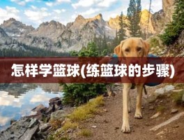 怎样学篮球(练篮球的步骤)