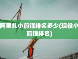 阿里扎小前锋排名多少(现役小前锋排名)