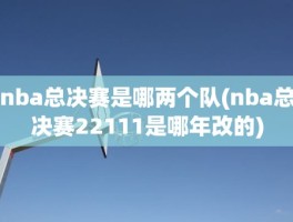nba总决赛是哪两个队(nba总决赛22111是哪年改的)