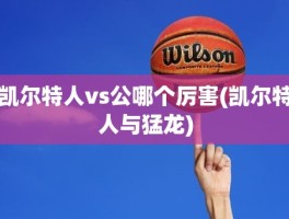 凯尔特人vs公哪个厉害(凯尔特人与猛龙)
