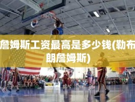 詹姆斯工资最高是多少钱(勒布朗詹姆斯)