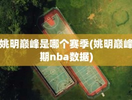 姚明巅峰是哪个赛季(姚明巅峰期nba数据)