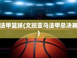 法甲篮球(文班亚马法甲总决赛)