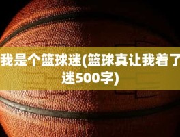 我是个篮球迷(篮球真让我着了迷500字)