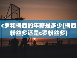c罗和梅西的年薪是多少(梅西粉丝多还是c罗粉丝多)