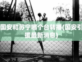 国安和苏宁哪个台转播(国安引援最新消息)