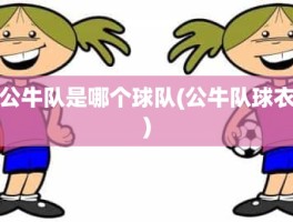 公牛队是哪个球队(公牛队球衣)